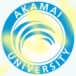 Akamai Flowers